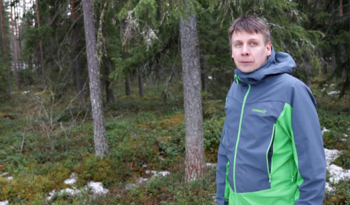 Behov för kalkyler i skogsbruket