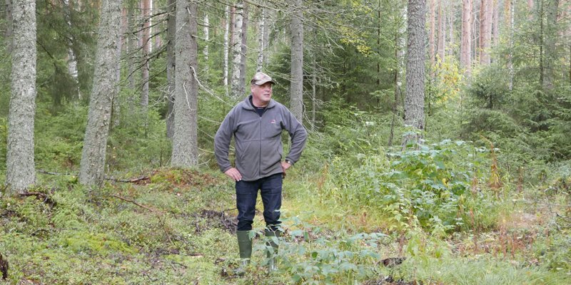 Skogsägaren och jägare kommer överens om jakträtt med arrendeavtal