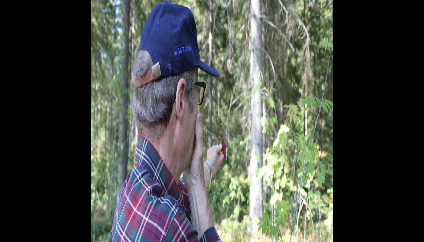 Skogsägare, lär dig åtminstone de här tre sätten att mäta