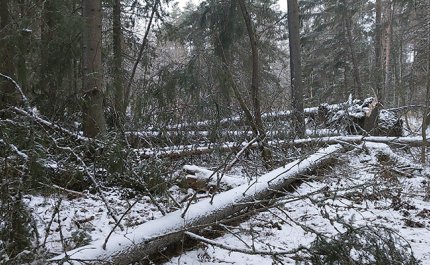 Vad ska man göra efter en storm? – kom ihåg dessa fem saker