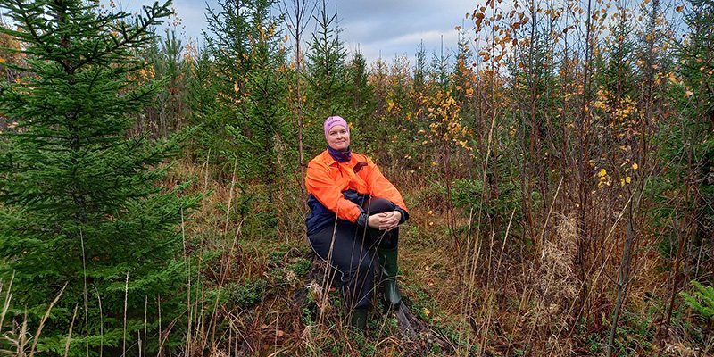 Skogsägare, känner du till dina rättigheter och skyldigheter?