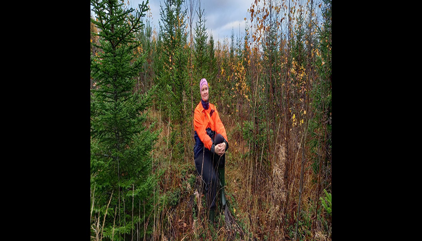 Skogsägare, känner du till dina rättigheter och skyldigheter?