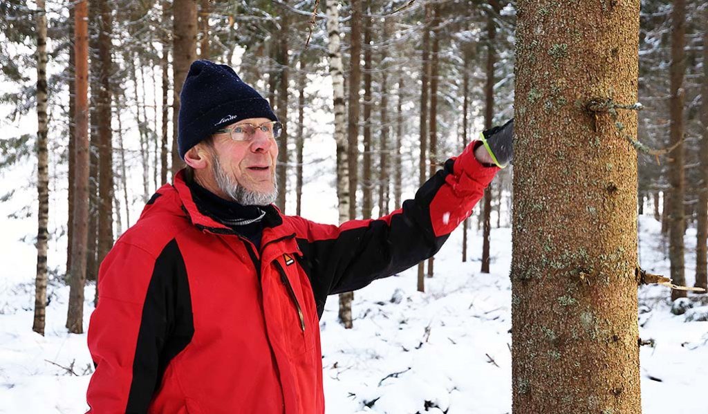 Skogsägare Auvo Alanne håller i en trädkvist i ett snöigt skogslandskap.