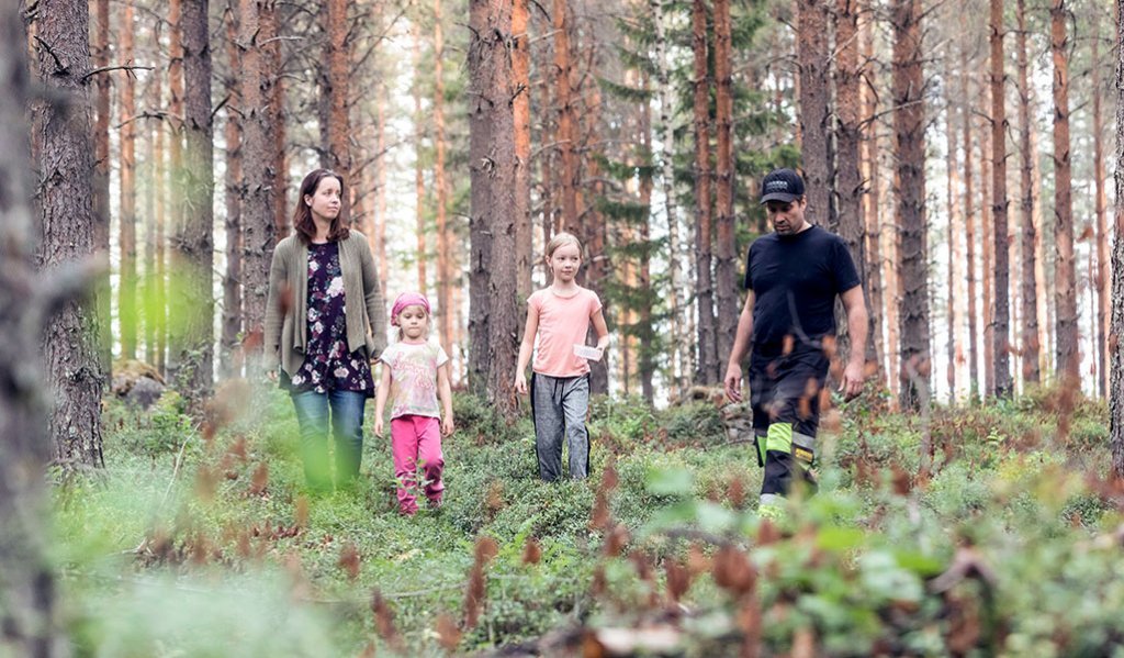 De unga tog över släktens skogsbruk