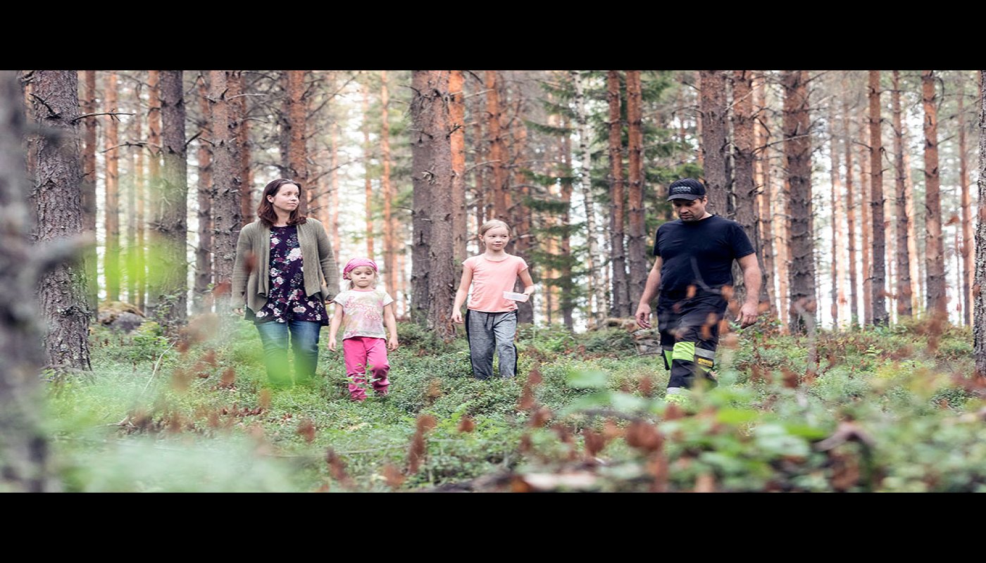 De unga tog över släktens skogsbruk