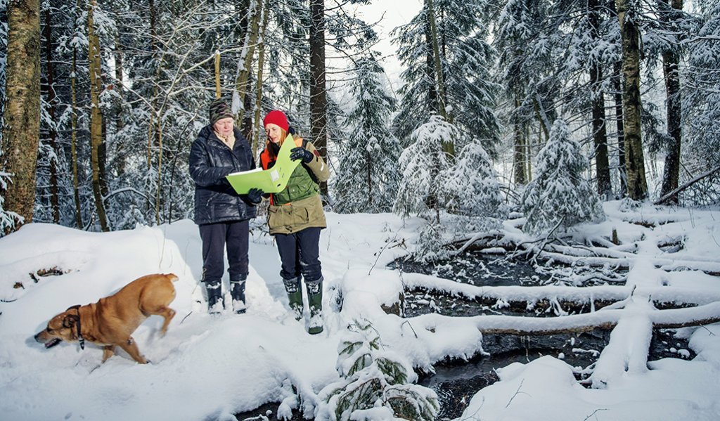 Skogsägaren Virpi Saarela och skogsexperten Minna Lautala studerar en skogsvårdsplan i en snöig skog. Skogsägarens hund springer ivrigt i snön. Till höger på bilden syns en källa och träd som fallit över källan. 