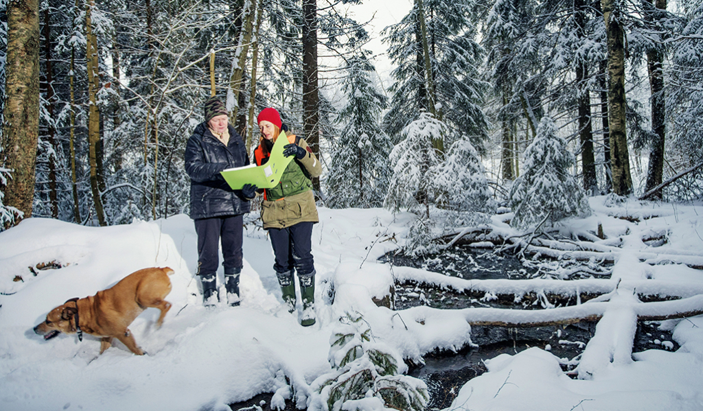 Skogsägaren Virpi Saarela och skogsexperten Minna Lautala studerar en skogsvårdsplan i en snöig skog. Skogsägarens hund springer ivrigt i snön. Till höger på bilden syns en källa och träd som fallit över källan.