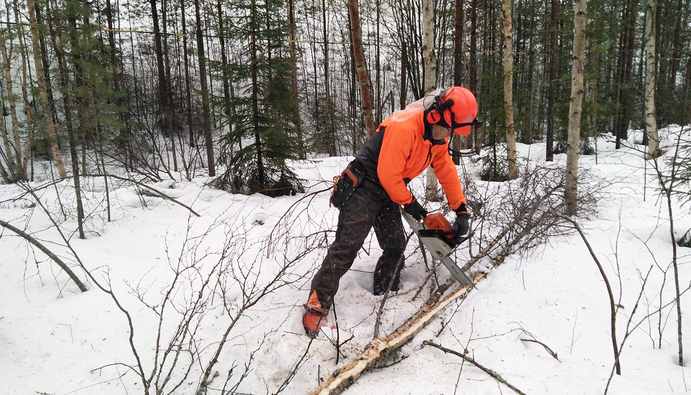 Kom ihåg de här tipsen när du skaffar och lagrar ved