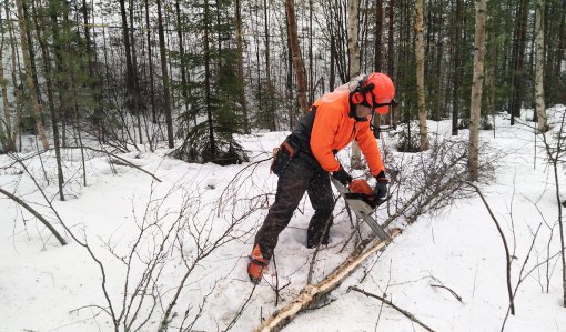 Kom ihåg de här tipsen när du skaffar och lagrar ved