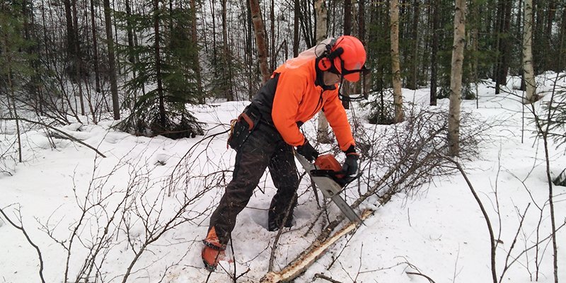 Kom ihåg de här tipsen när du skaffar och lagrar ved