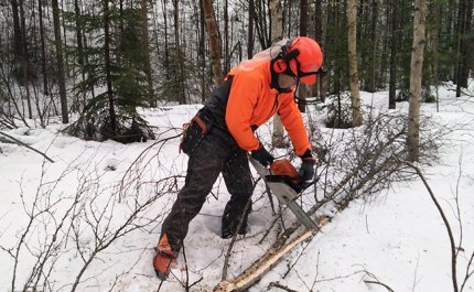 Kom ihåg de här tipsen när du skaffar och lagrar ved