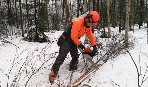 Kom ihåg de här tipsen när du skaffar och lagrar ved