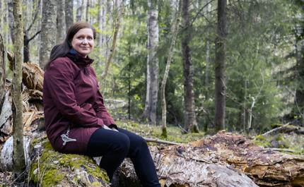 De strukturella dragen avgör – så här tryggas skogens biologiska mångfald