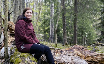 De strukturella dragen avgör – så här tryggas skogens biologiska mångfald