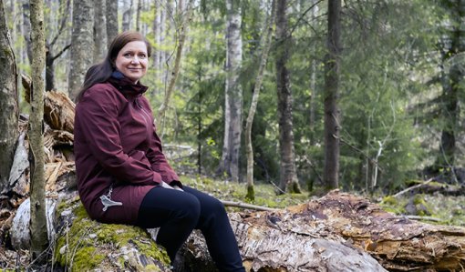 Mari Lilja sitter på död ved i skogen.