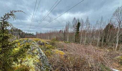 Under ellinjen finns viltsnår, berg och enar.
