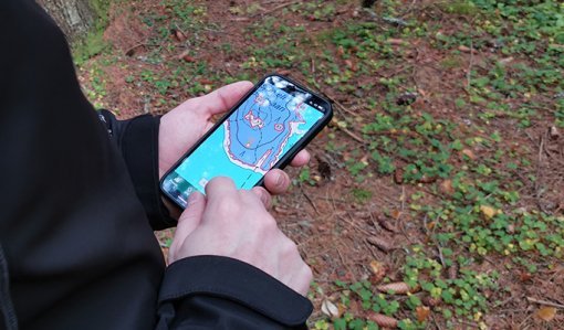 En person sittar på en karta i sin telefon i skogen.