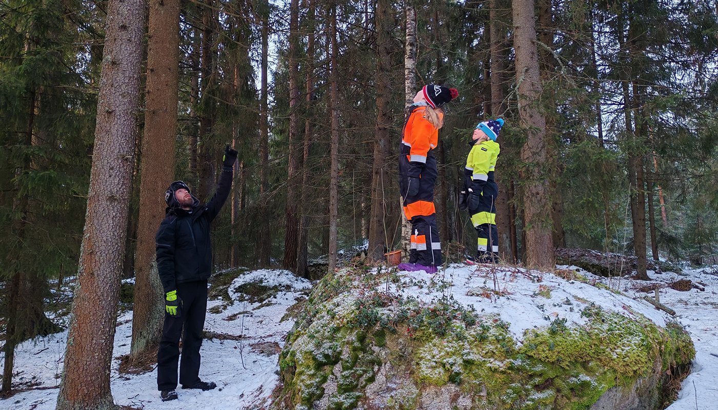 En man och två barn tittar på träd. 