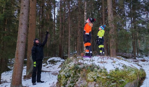 En man och två barn tittar på träd. 