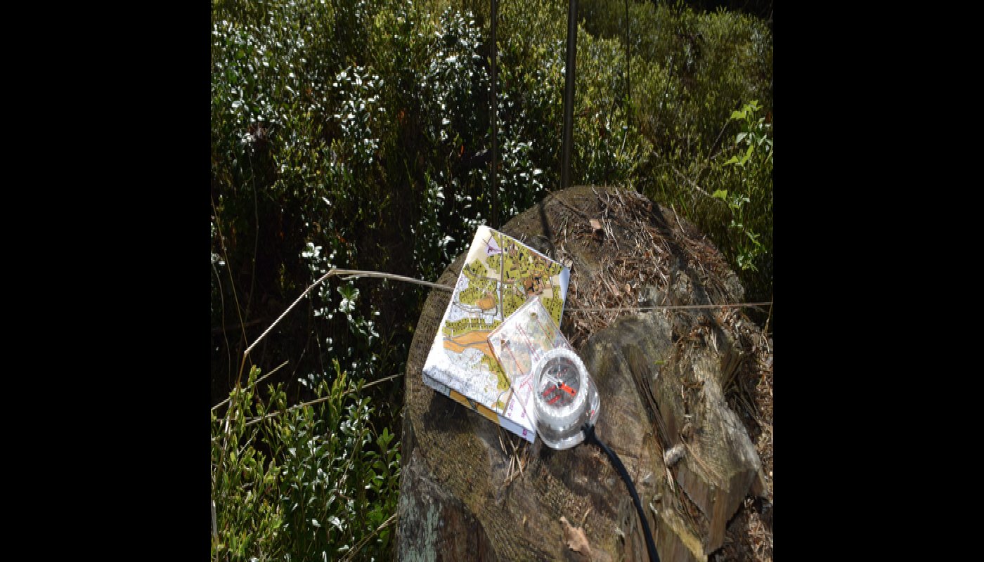 En karta och kompass på en stubbe i skogen.