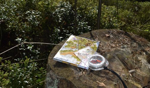 En karta och kompass på en stubbe i skogen.