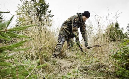 Skogsägare, kom ihåg dessa fem saker på hösten