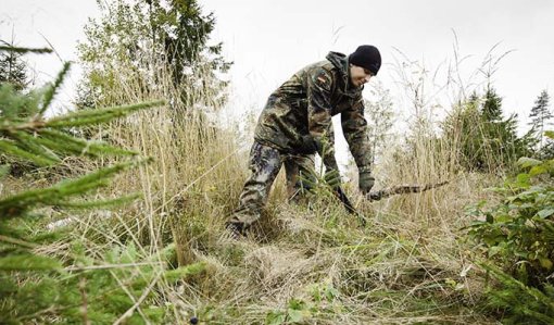 En person röjer gräs runt små trädplantor. 
