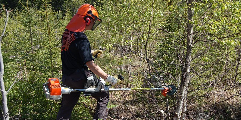 En man röjer plantbeståndet med en röjsåg på sommaren.