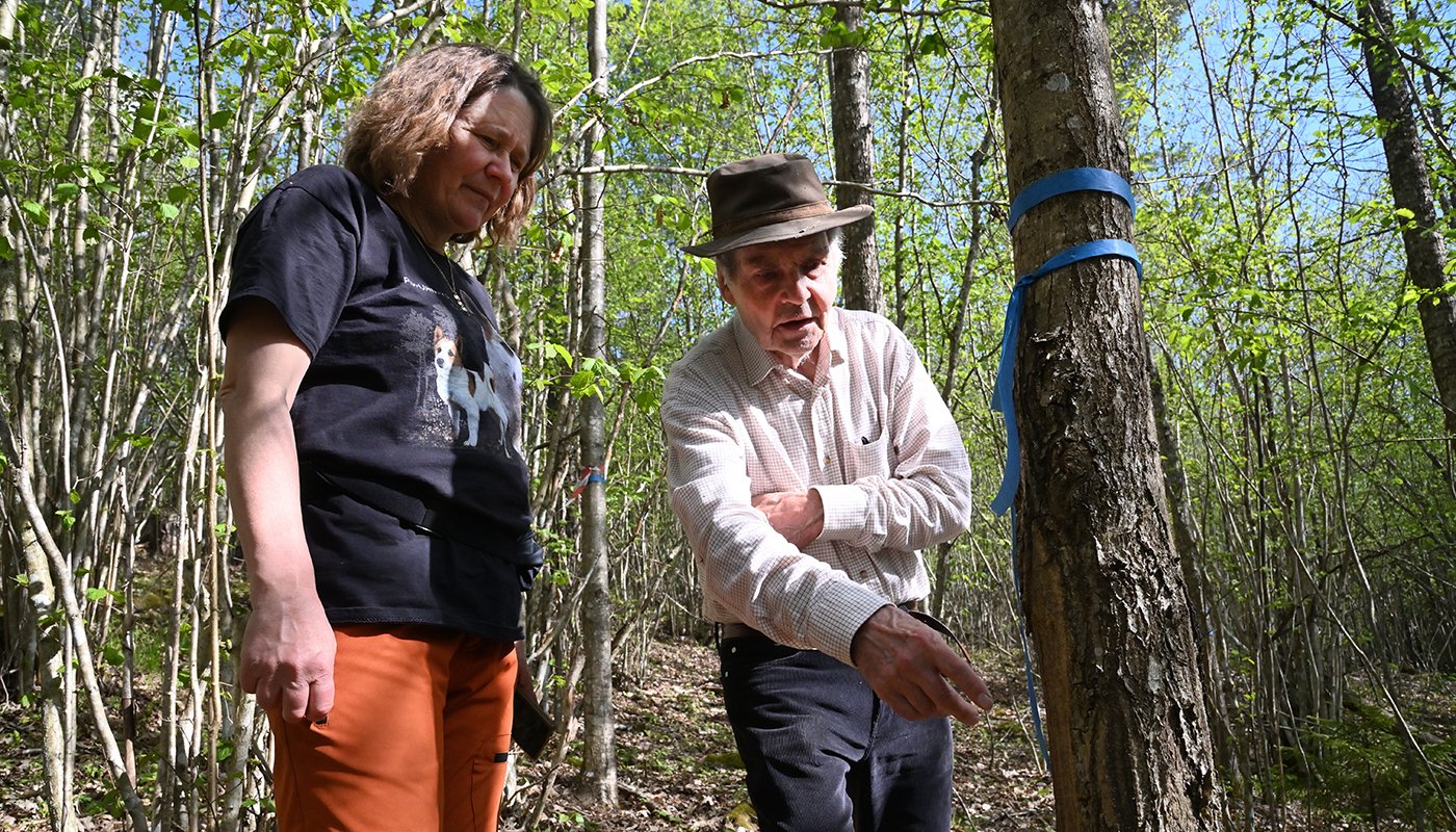 Riikka Otsamo och Risto Kuittinen i ekskogen.
