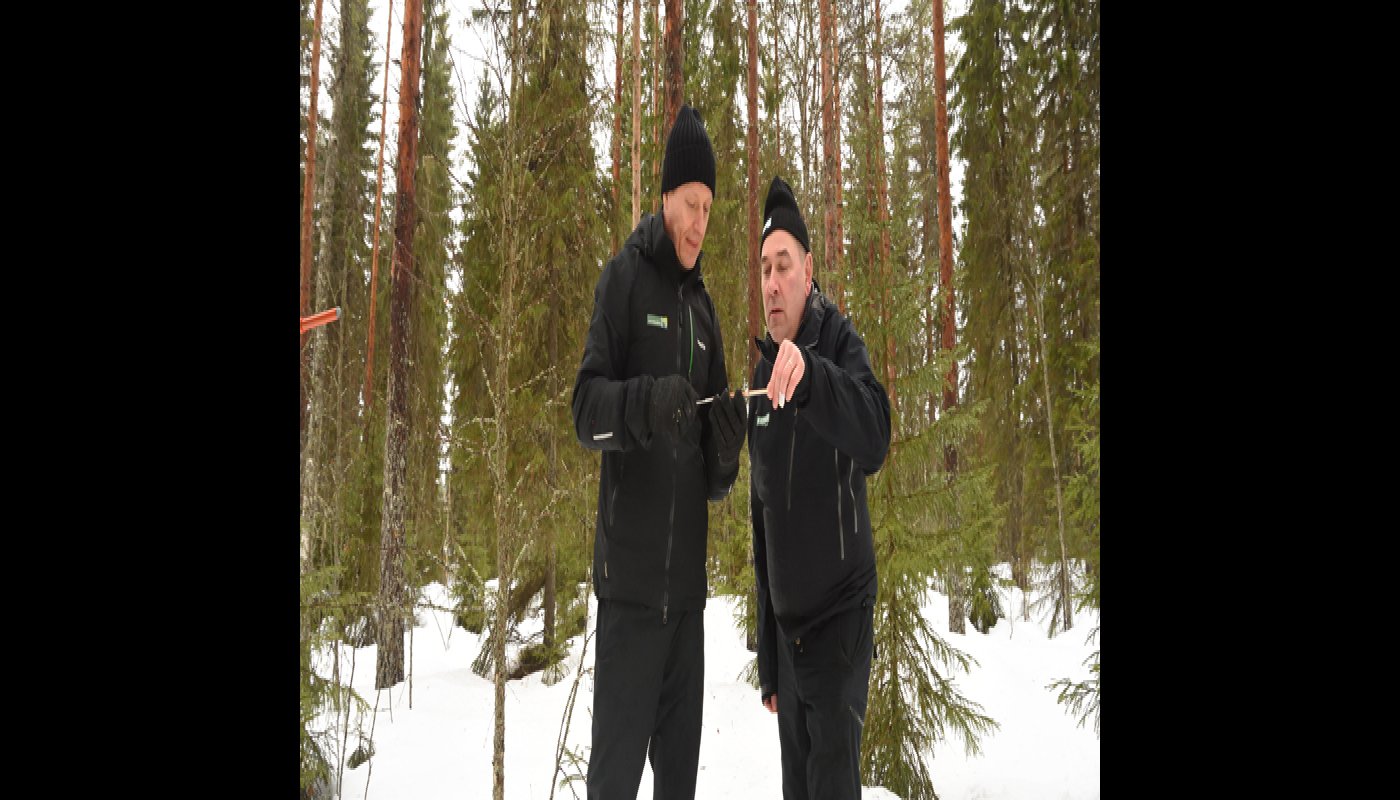 Ledande skogsvårdsexperten Markku Remes och skogsägaren Ari Sirviö står ute i skogen och studerar ett träprov som tagits på ett träd efter att skogen askgödslats.