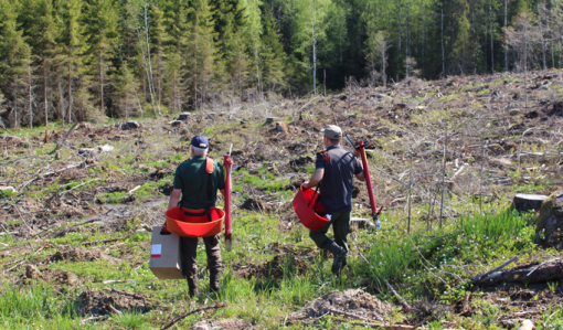 Två män går mot en kalyta med planteringsrör och plantor för att plantera.