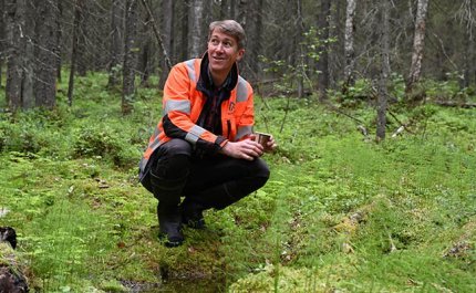 Jussi Vatanen har vuxit sig till skogsägare