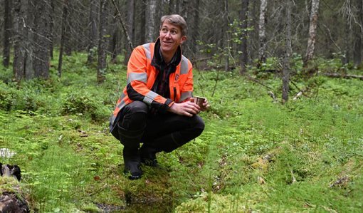 Jussi Vatanen sitter på huk intill en källa i skogen.