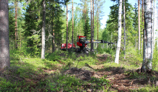 På bilden syns en avverkningsmaskin som gallrar skog genom korridorgallring.