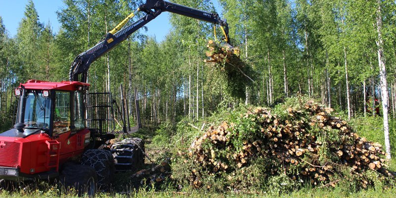 Korridorgallring kan sänka kostnaderna för förstagallringen