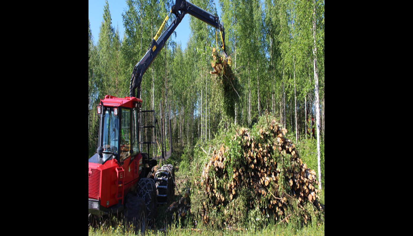 Korridorgallring kan sänka kostnaderna för förstagallringen