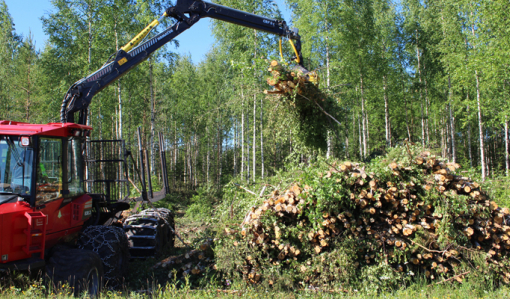 Korridorgallring kan sänka kostnaderna för förstagallringen