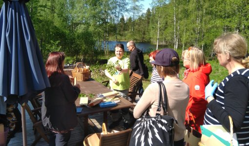 Känner du de här fyra vildörterna?