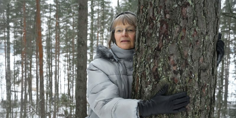 Samfälld skog – ett lätt sätt att äga