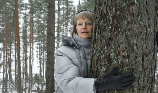 Samfälld skog – ett lätt sätt att äga