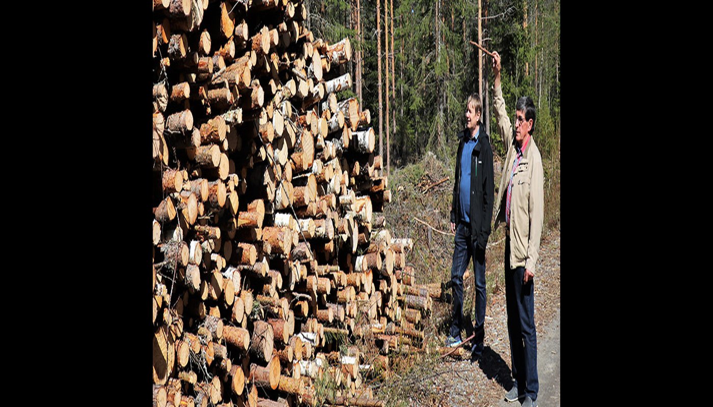 två män bredvid en vedhög