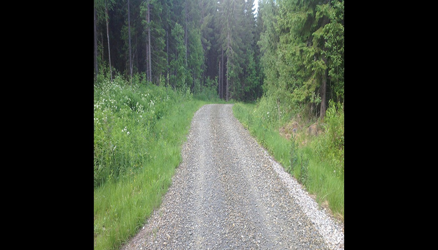 Fem tips för bra underhåll av enskilda vägar