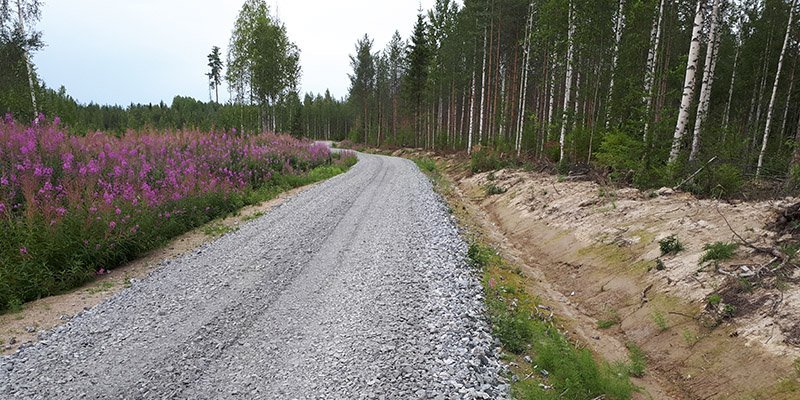 En skogsväg är i en gott skick.  