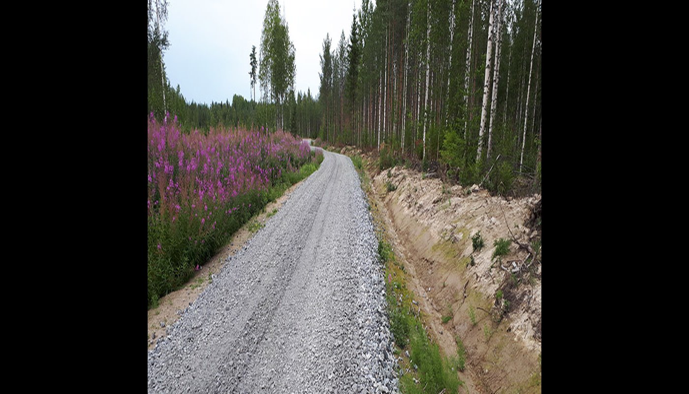 En skogsväg är i en gott skick.  