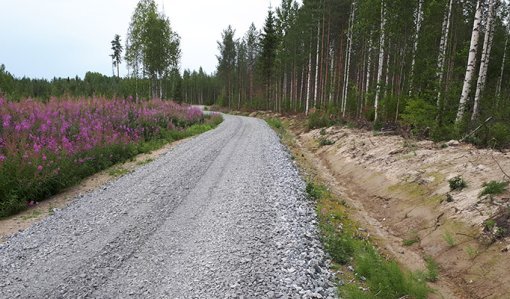 En skogsväg är i en gott skick.  