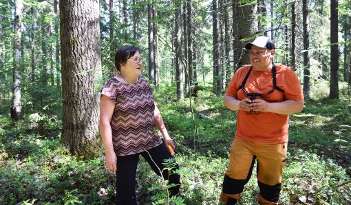 Skydda skogen med hjälp av en skogsexpert