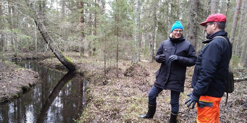 Skogsägaren Mauno Soronen och skogs- och naturrådgivaren Ari Karjalainen står i skogen och samtalar. Till vänster ringlar sig en bäck i naturtillstånd.