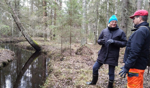 Skogsägaren Mauno Soronen och skogs- och naturrådgivaren Ari Karjalainen står i skogen och samtalar. Till vänster ringlar sig en bäck i naturtillstånd.