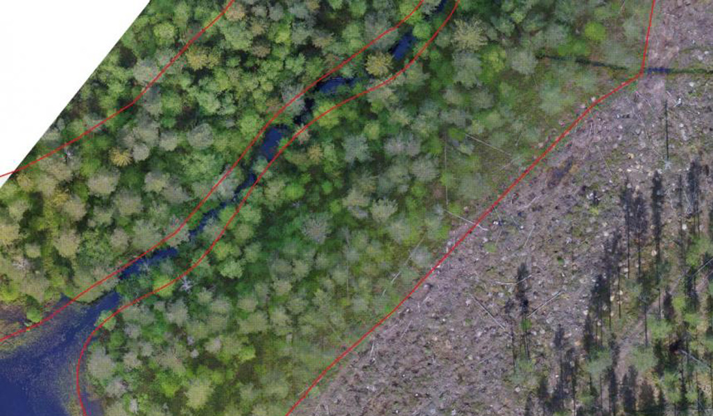 Drönarfotografi på ett skogslagsobjekt som märkts ut med röda gränser.
