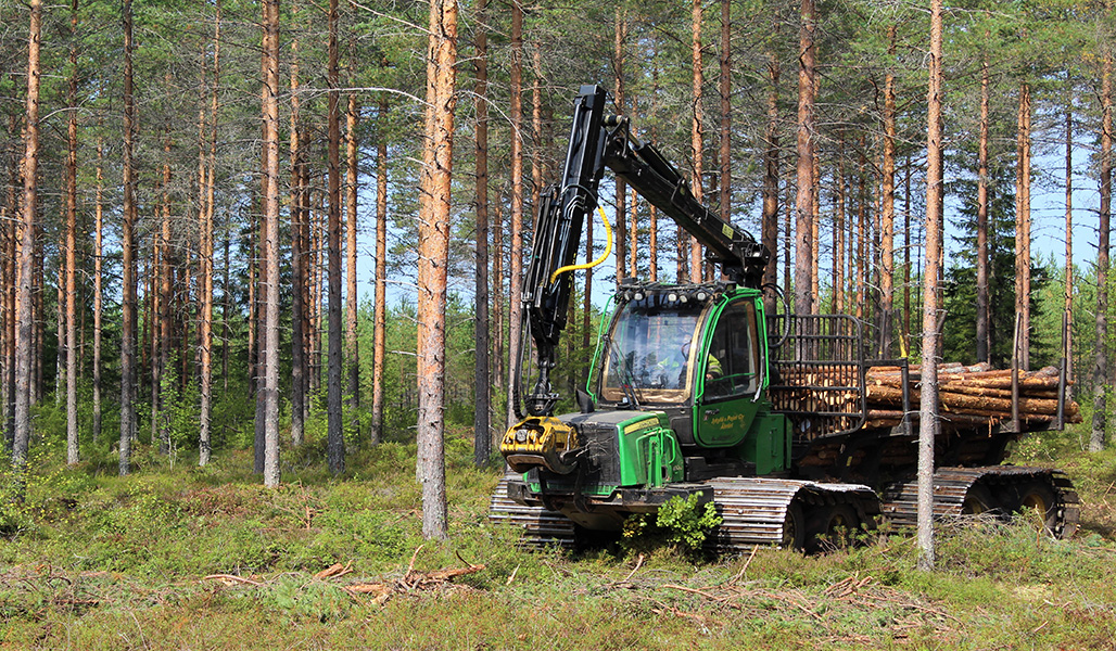 En skogsmaskin kör i skogen